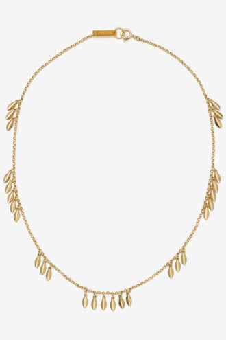 Metalliskt glänsande bladchoker