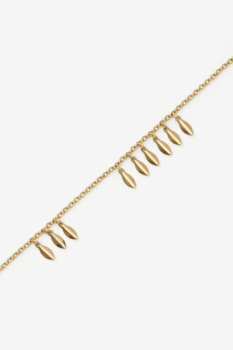Metalliskt glänsande bladchoker
